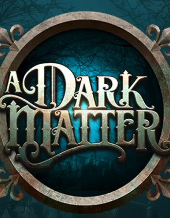 A Dark Matter