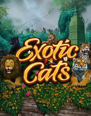 Exotic Cats