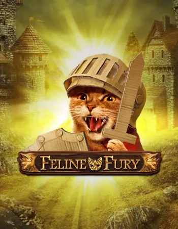 Feline Fury