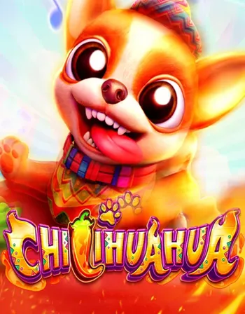 Chilihuahua
